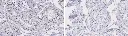 ea9612df-2ac2-46f3-9421-c8b3031c1701.webp