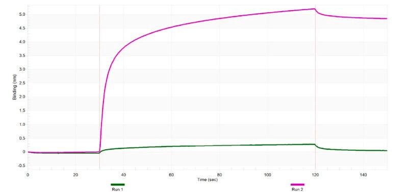 [ZRB3071-4X25UL] Anti-CYP3A4 Antibody, clone 2F2 ZooMAb ® Rabbit Monoclonal (4 x 25 μL)