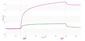 [ZRB2681-4X25UL] Anti-HDAC11 Antibody, clone 1E11 ZooMAb ® Rabbit Monoclonal (4 x 25 μL)