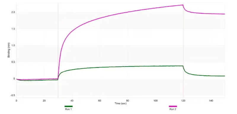 [ZRB2681-4X25UL] Anti-HDAC11 Antibody, clone 1E11 ZooMAb ® Rabbit Monoclonal (4 x 25 μL)