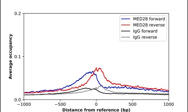 [HPA035901-100UL] Anti-MED28 antibody produced in rabbit (100 μL)